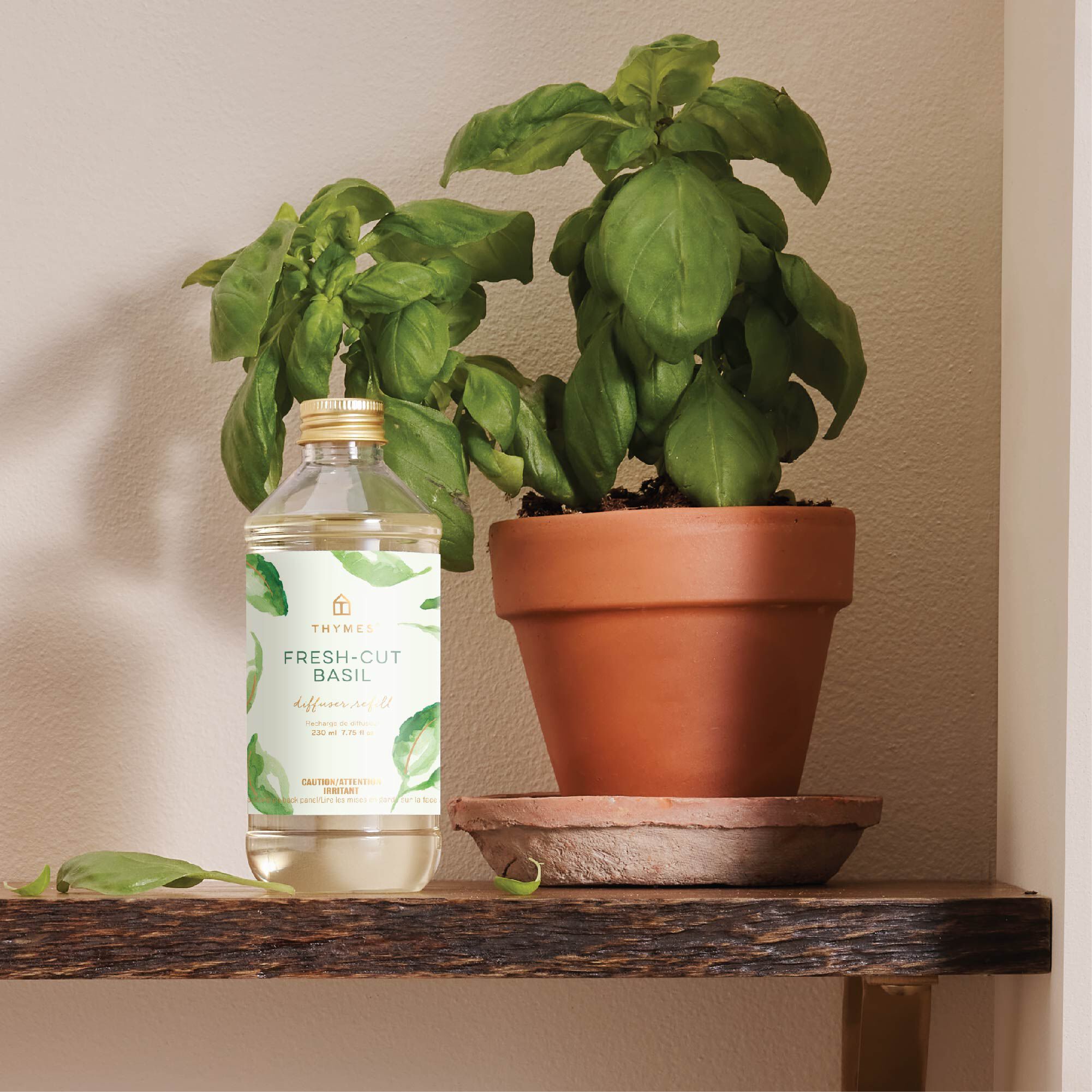 Fresh-Cut Basil Reed Diffuser Oil Refill - Thymes
