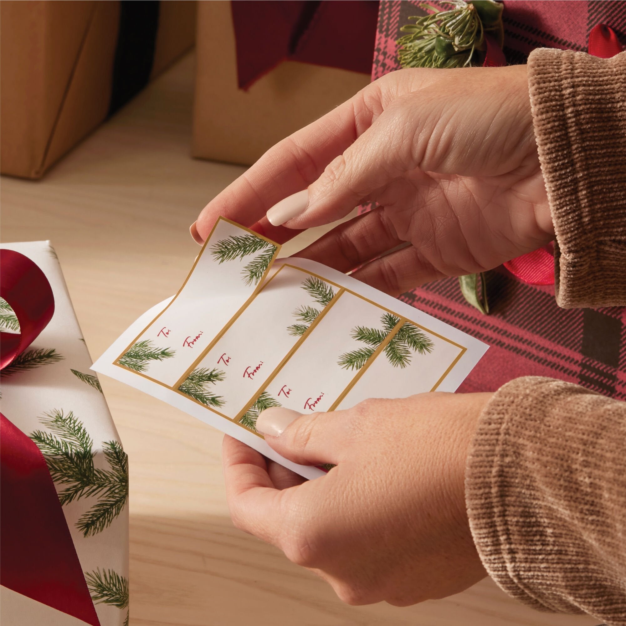 Frasier Fir? Giftwrap Bundle - Thymes