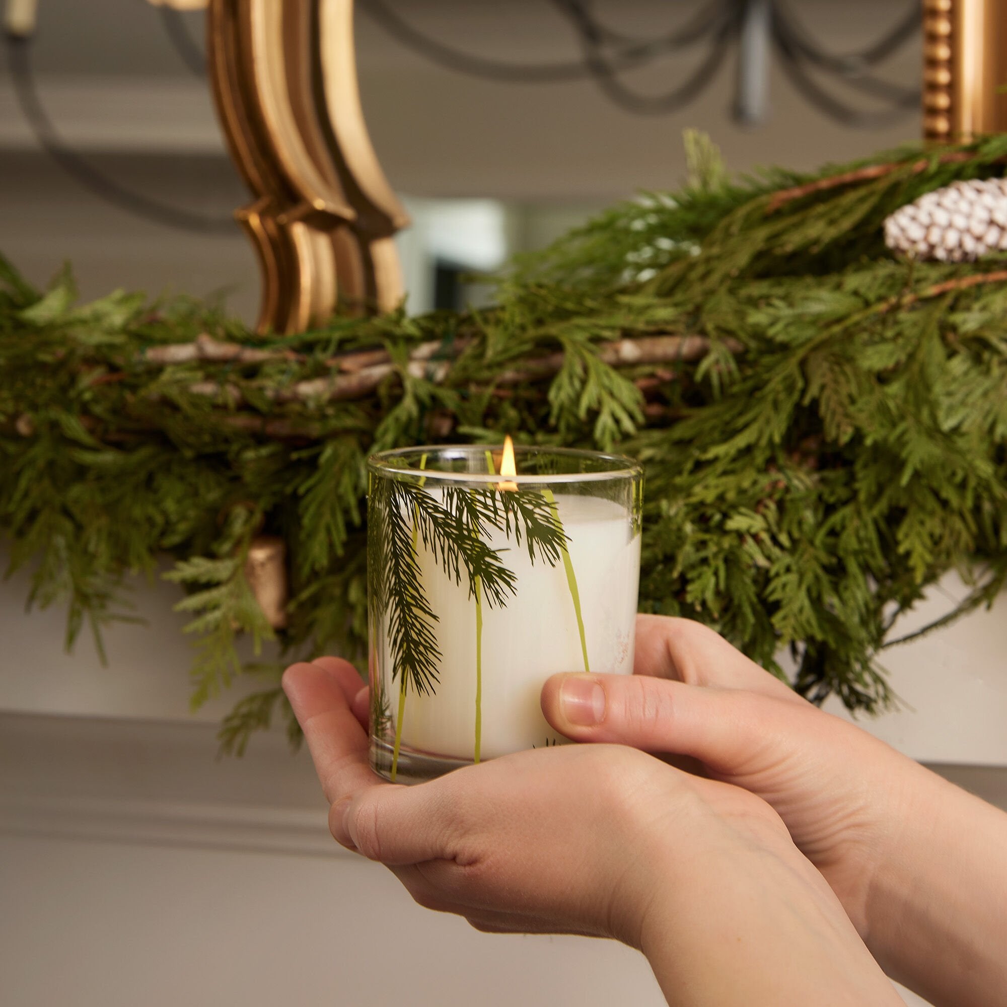 Frasier Fir? Pine Needle Candle - Thymes