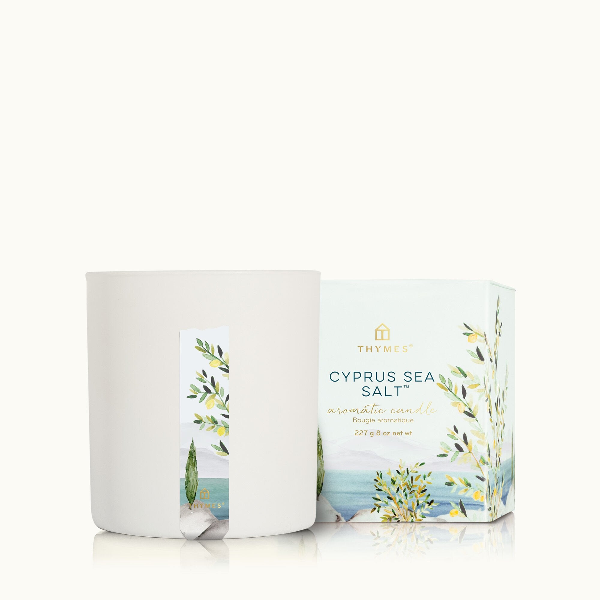 Cyprus Sea Salt Poured Candle - Thymes
