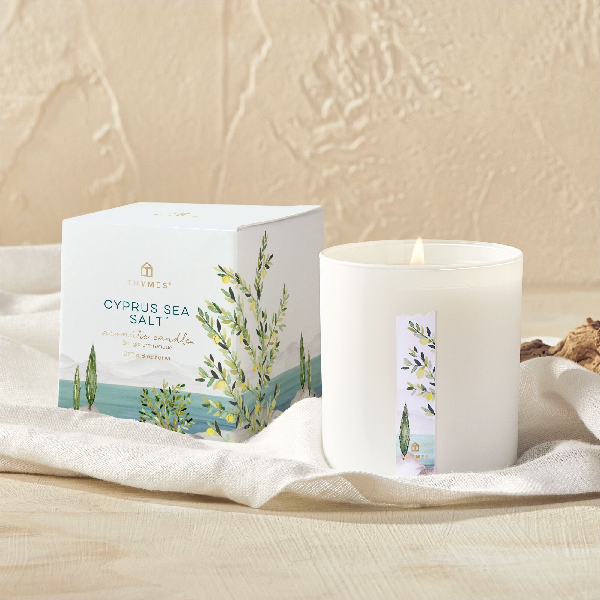 Cyprus Sea Salt Poured Candle - Thymes