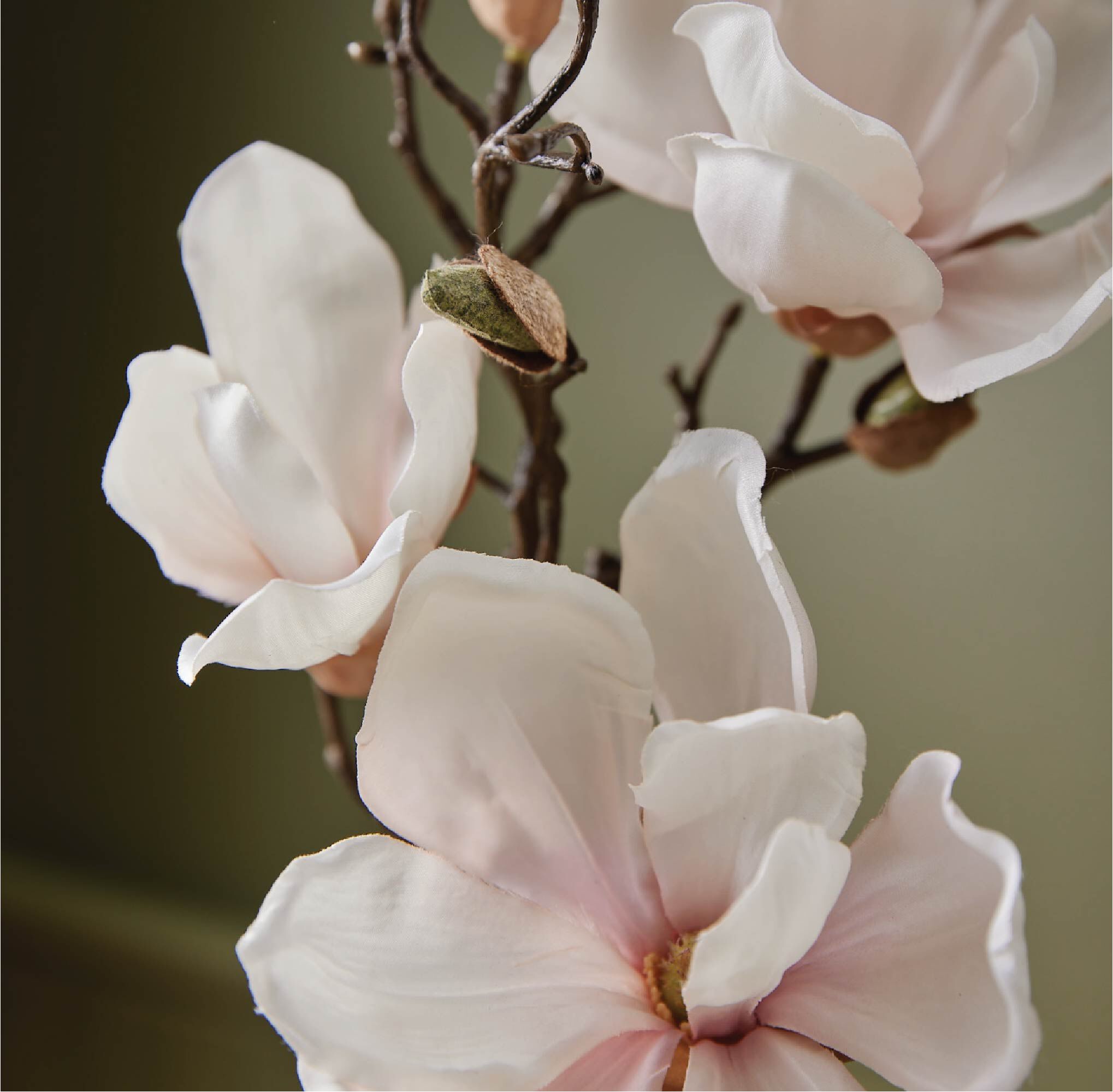 Magnolia Willow Hand Wash Refill - Thymes