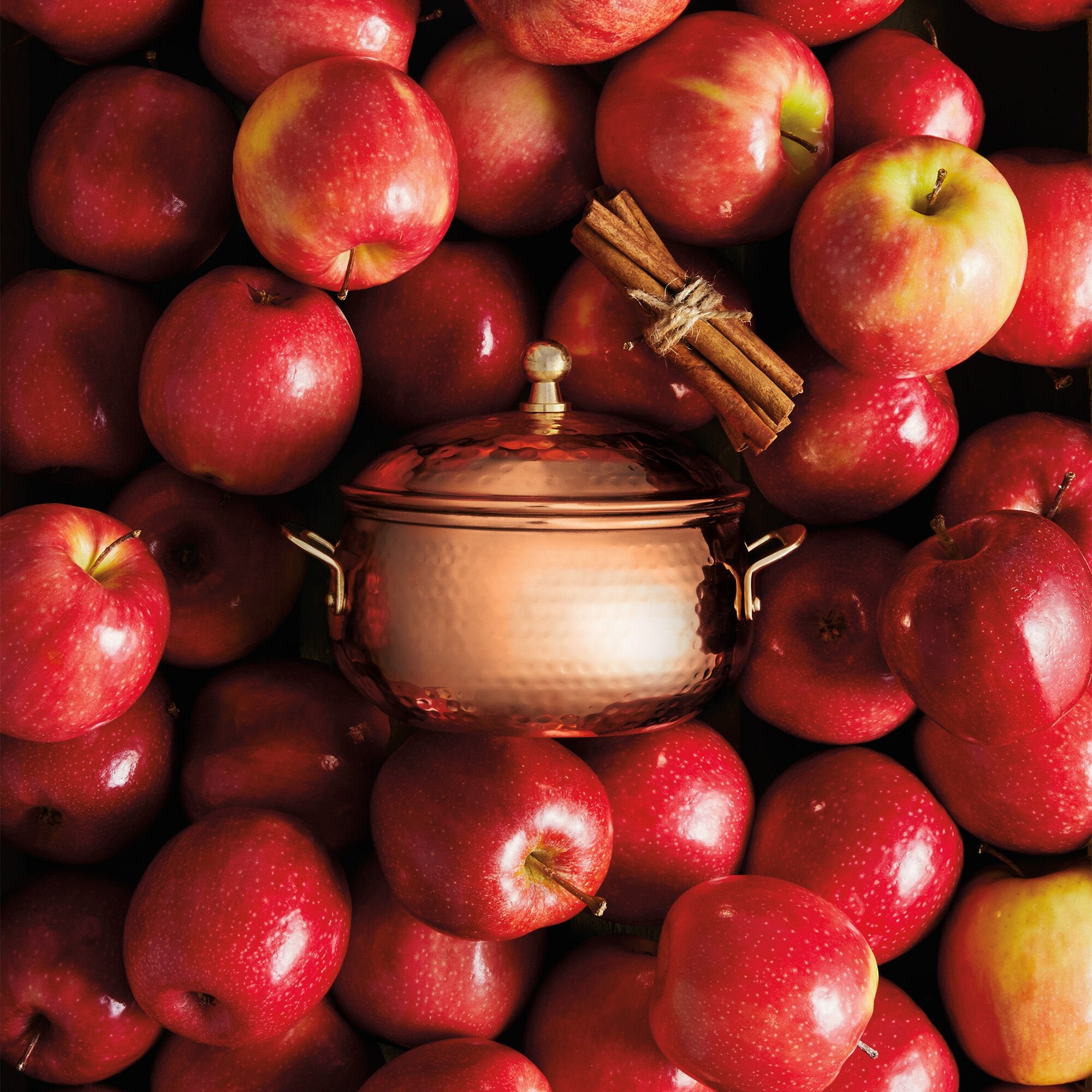 Simmered Cider Copper Pot 3-Wick Candle - Thymes
