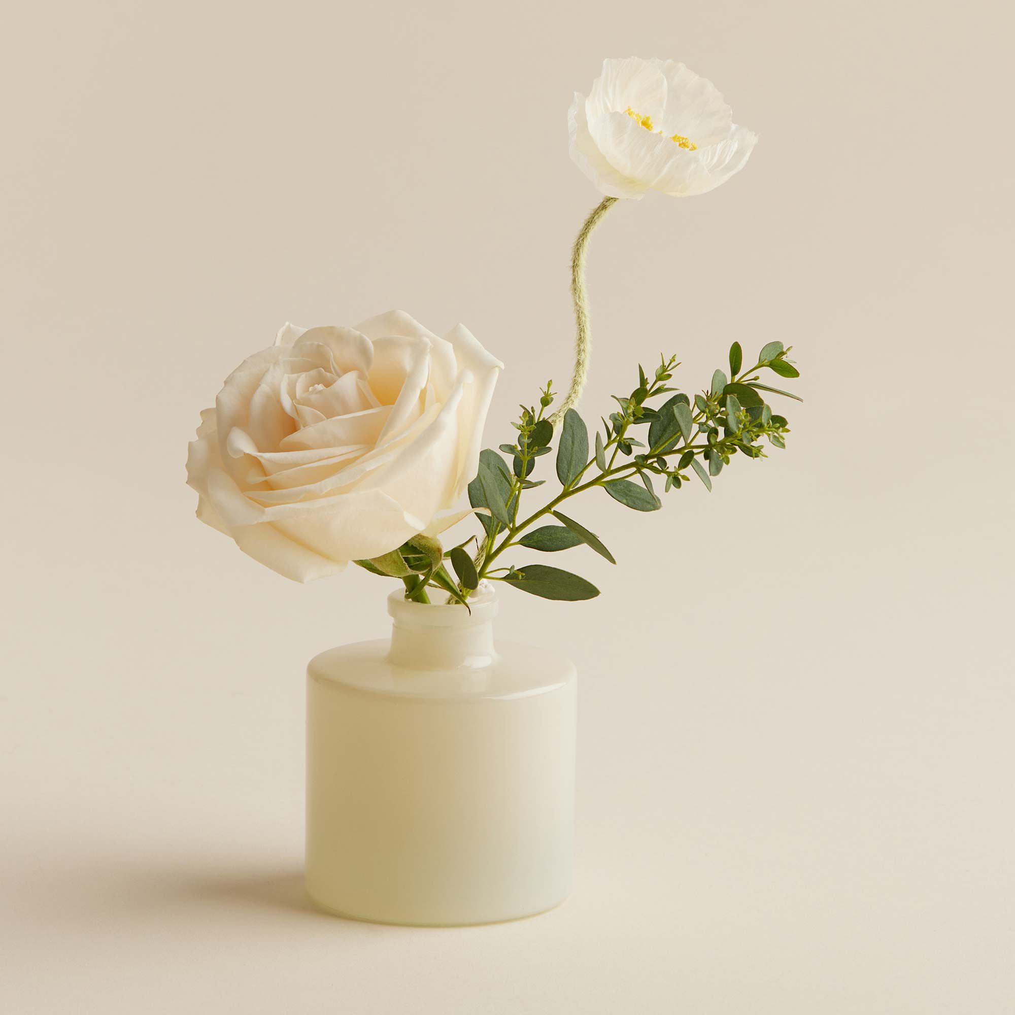 Goldleaf Petite Reed Diffuser - Thymes