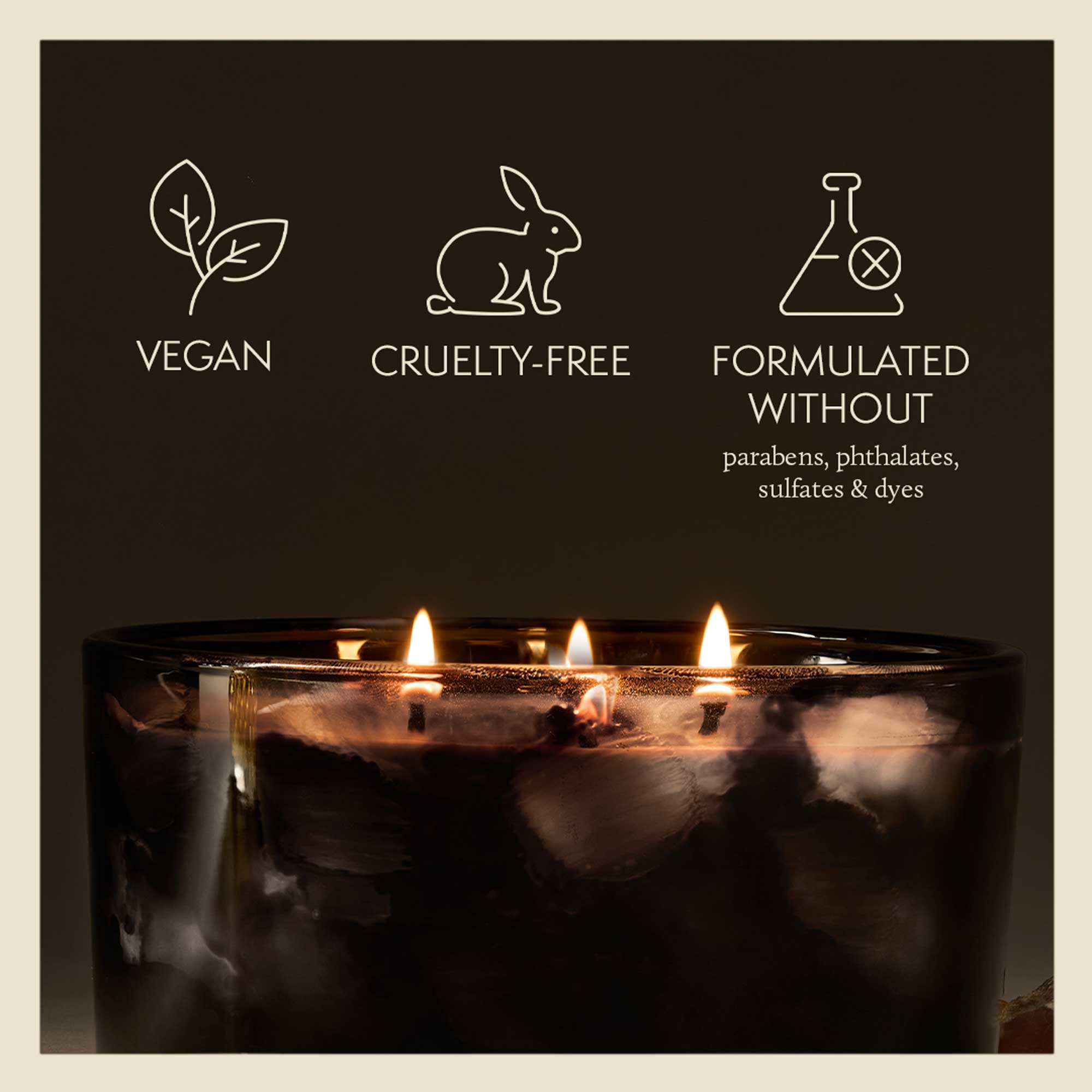 Noir Woods 3-Wick Poured Candle - Thymes